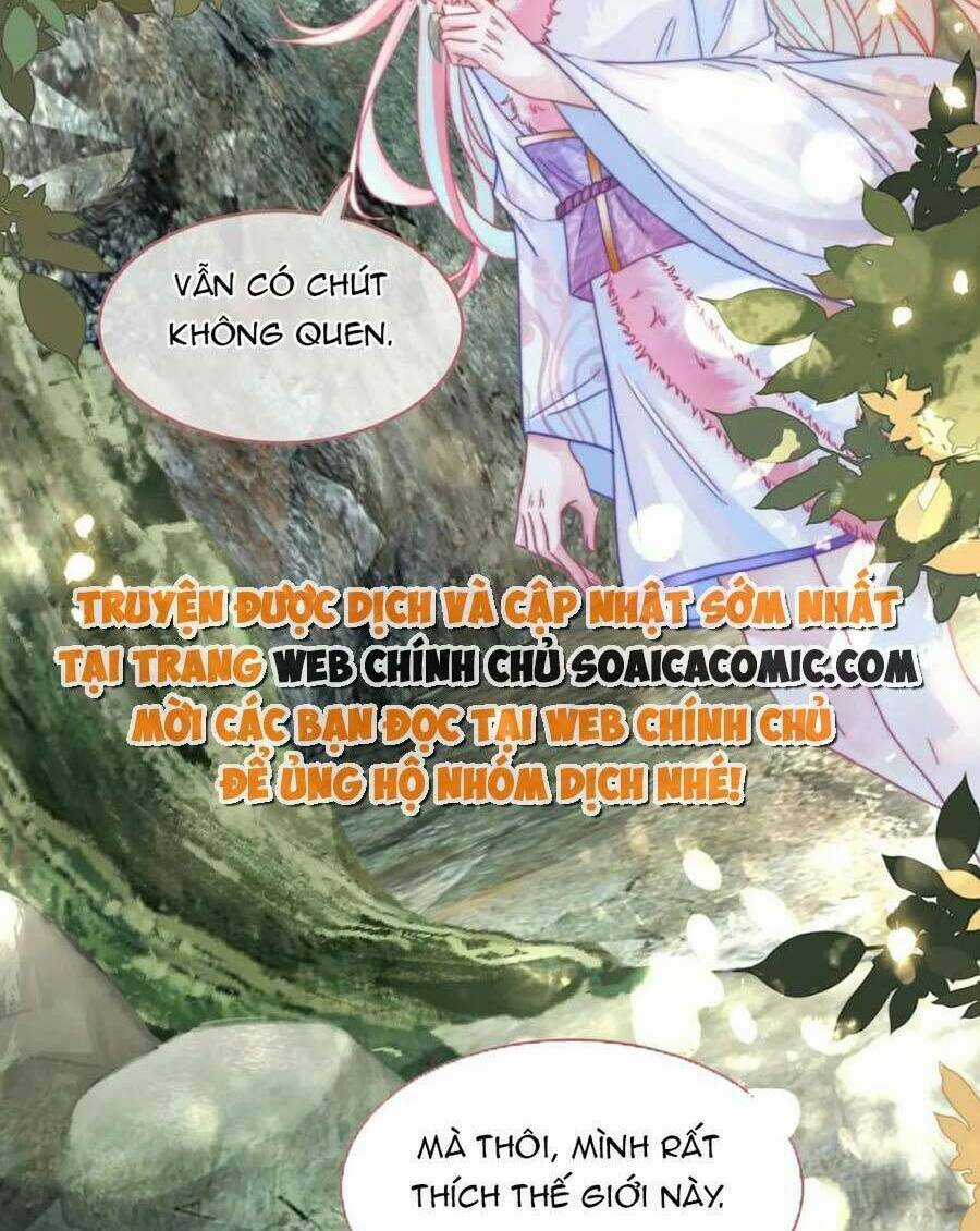 Xuyên Nhanh Nữ Phụ Bình Tĩnh Chút Chapter 151 trang 3