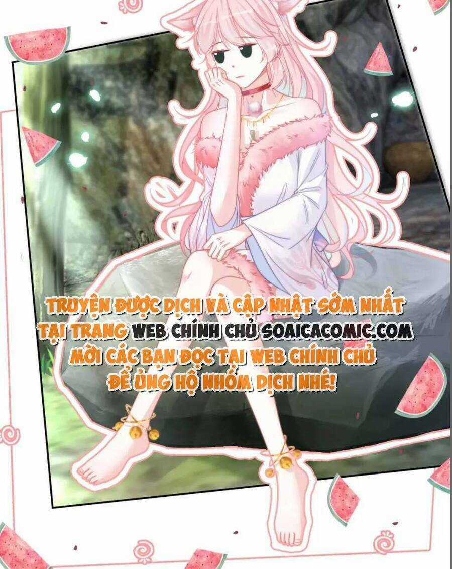 Xuyên Nhanh Nữ Phụ Bình Tĩnh Chút Chapter 152 trang 22