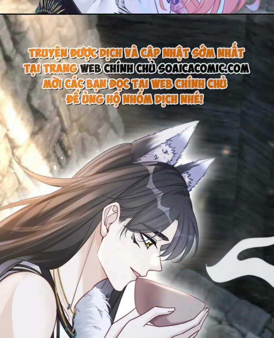 Xuyên Nhanh Nữ Phụ Bình Tĩnh Chút Chapter 153 trang 17