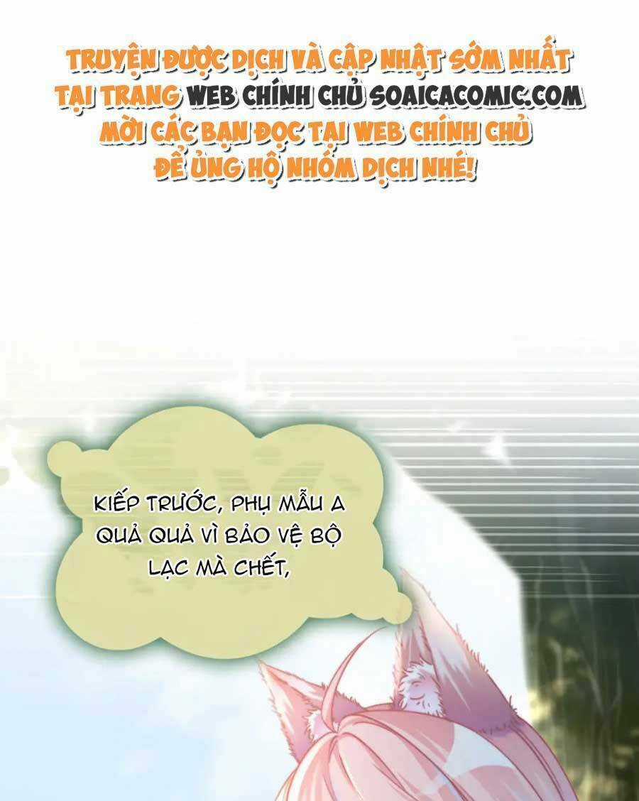 Xuyên Nhanh Nữ Phụ Bình Tĩnh Chút Chapter 154 trang 16