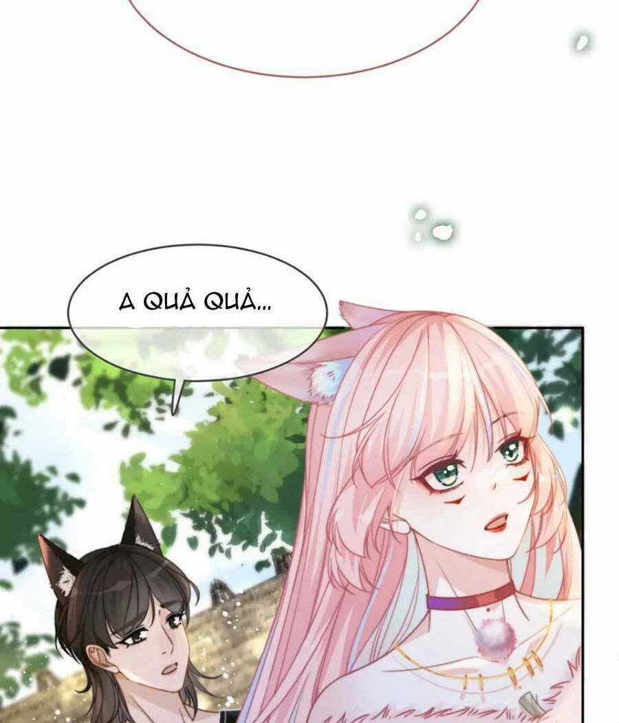 Xuyên Nhanh Nữ Phụ Bình Tĩnh Chút Chapter 154 trang 50