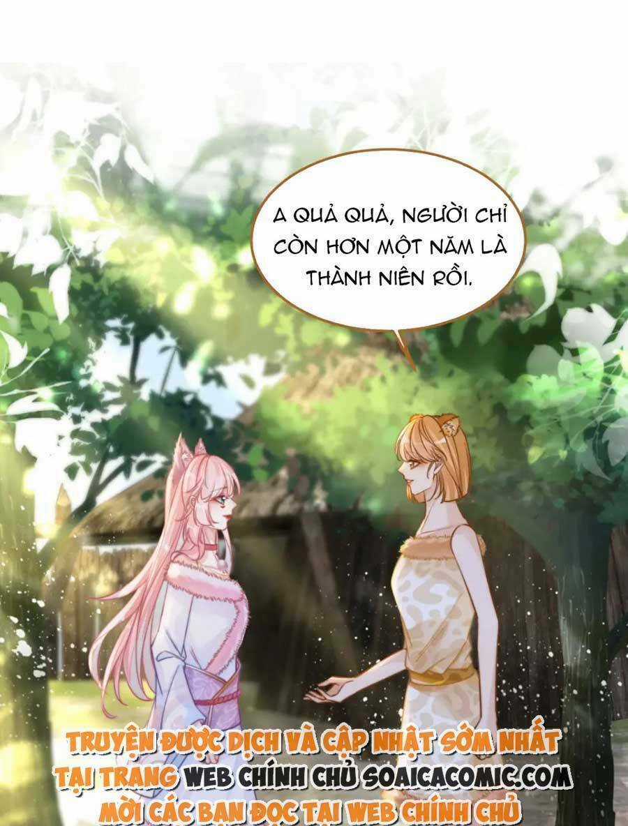 Xuyên Nhanh Nữ Phụ Bình Tĩnh Chút Chapter 154 trang 52