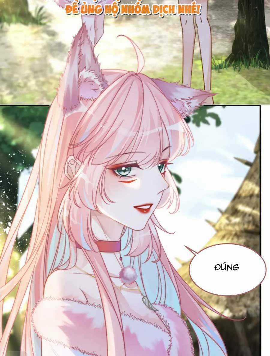 Xuyên Nhanh Nữ Phụ Bình Tĩnh Chút Chapter 154 trang 53