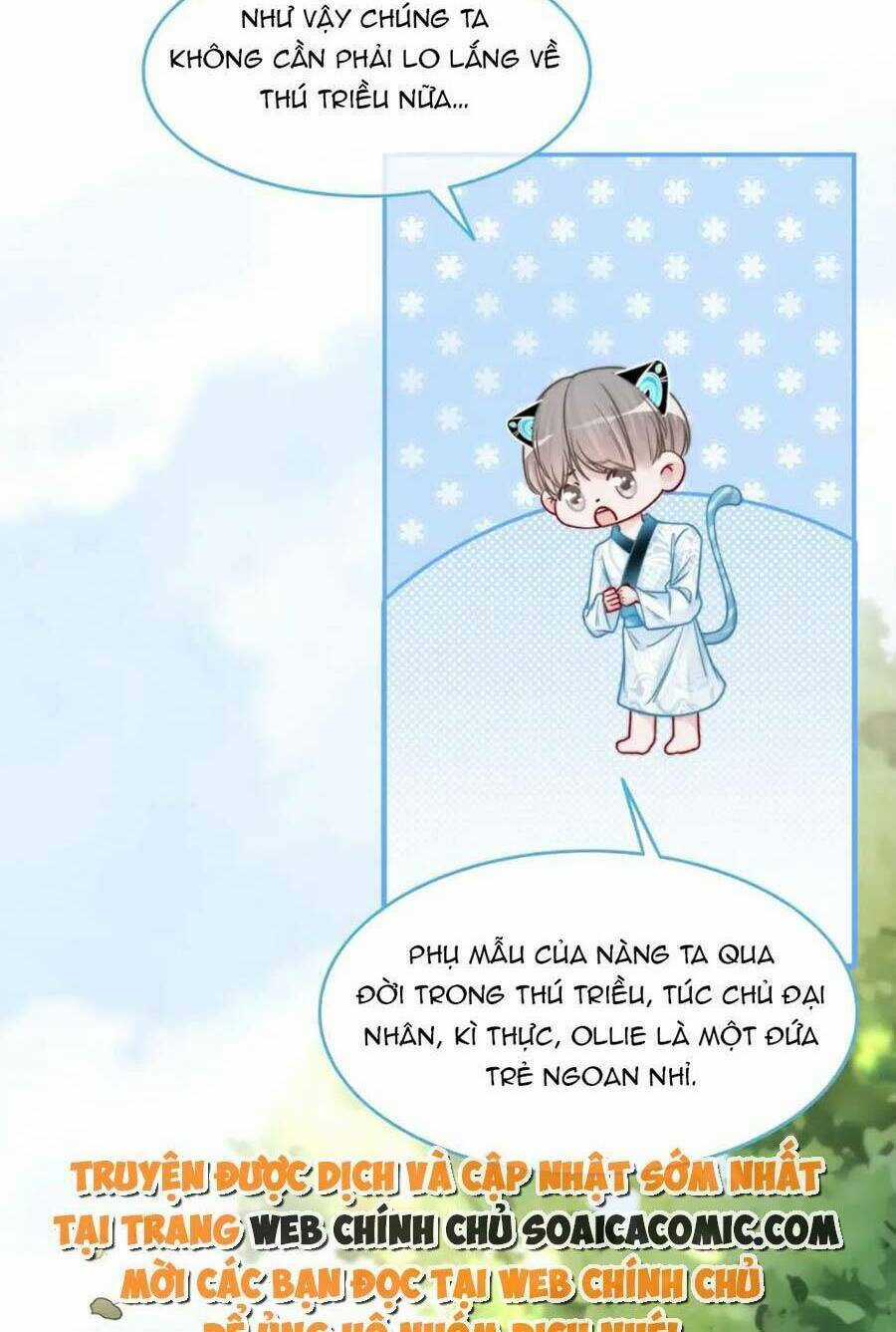 Xuyên Nhanh Nữ Phụ Bình Tĩnh Chút Chapter 155 trang 11