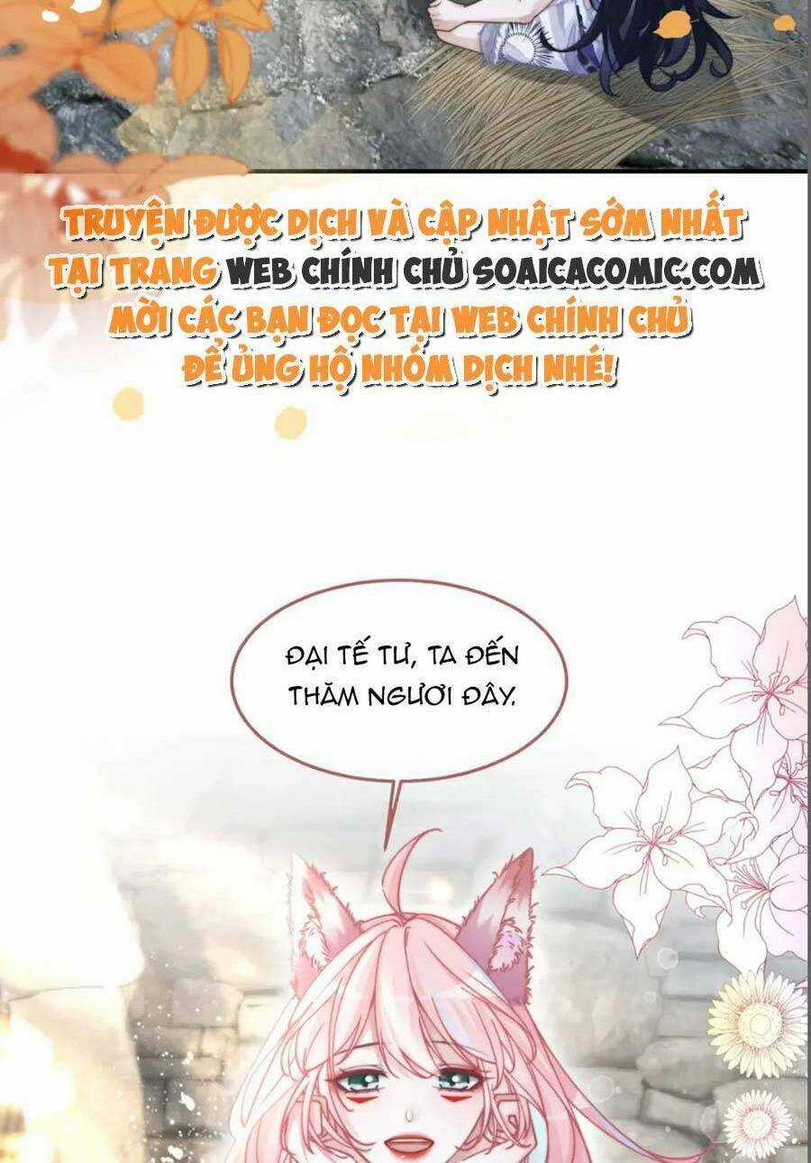 Xuyên Nhanh Nữ Phụ Bình Tĩnh Chút Chapter 155 trang 25