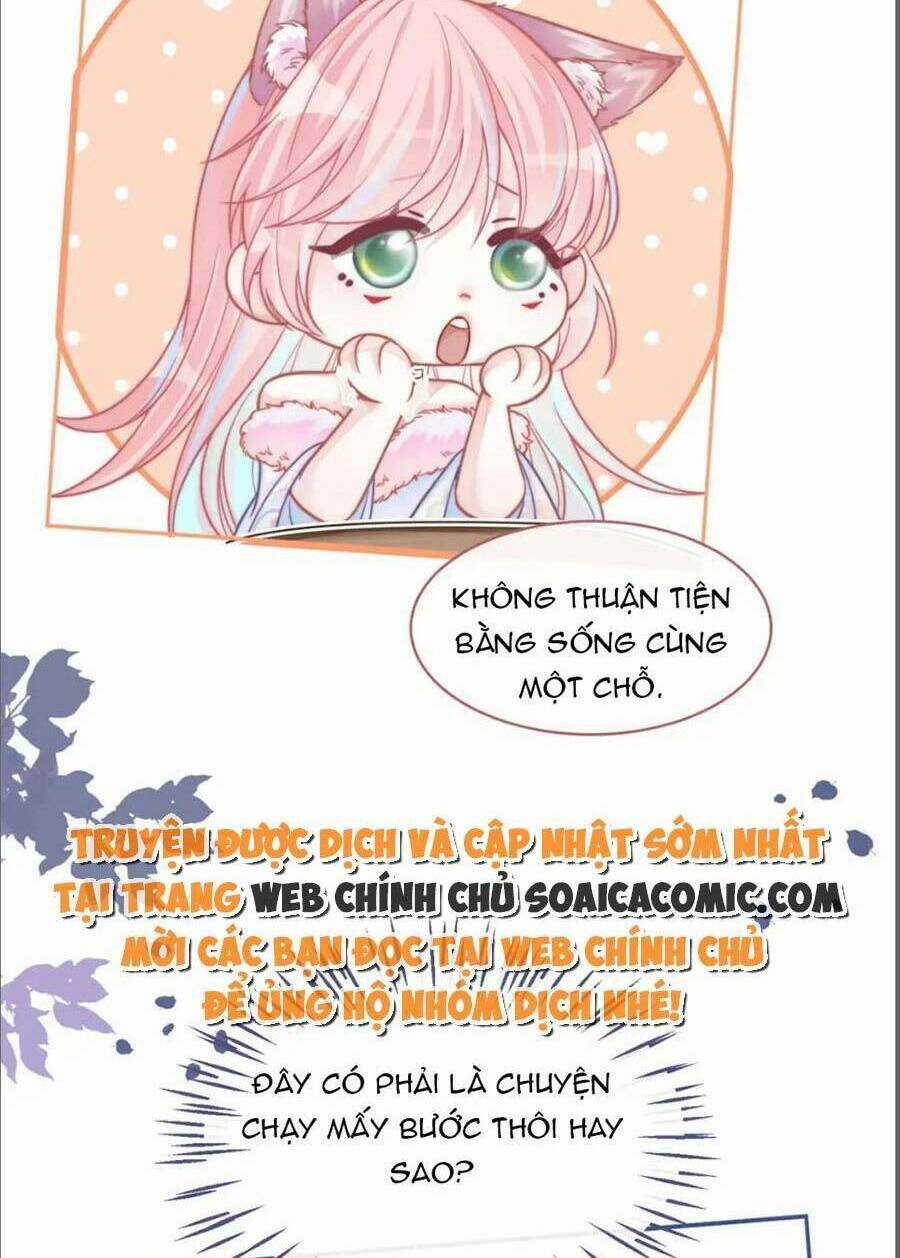 Xuyên Nhanh Nữ Phụ Bình Tĩnh Chút Chapter 155 trang 41