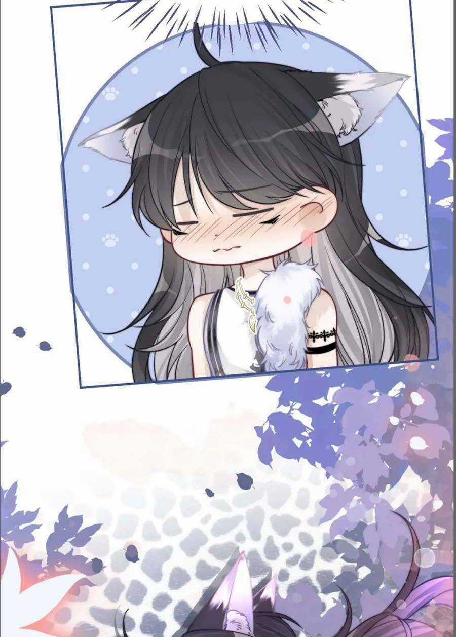 Xuyên Nhanh Nữ Phụ Bình Tĩnh Chút Chapter 155 trang 42