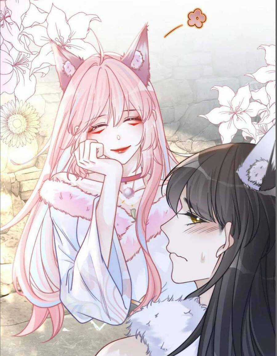 Xuyên Nhanh Nữ Phụ Bình Tĩnh Chút Chapter 155 trang 54