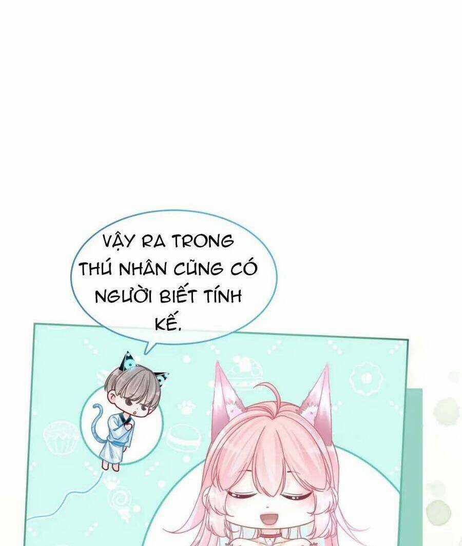 Xuyên Nhanh Nữ Phụ Bình Tĩnh Chút Chapter 156 trang 28