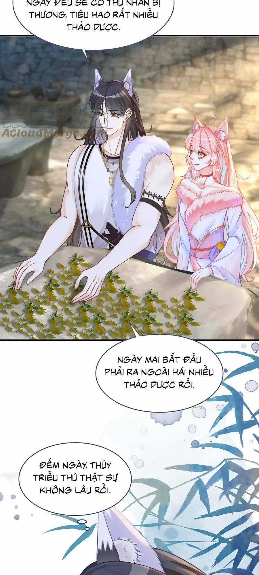 Xuyên Nhanh Nữ Phụ Bình Tĩnh Chút Chapter 157 trang 12