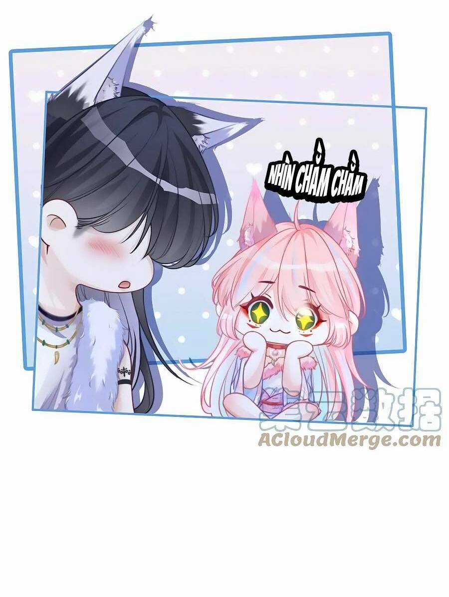 Xuyên Nhanh Nữ Phụ Bình Tĩnh Chút Chapter 157 trang 15