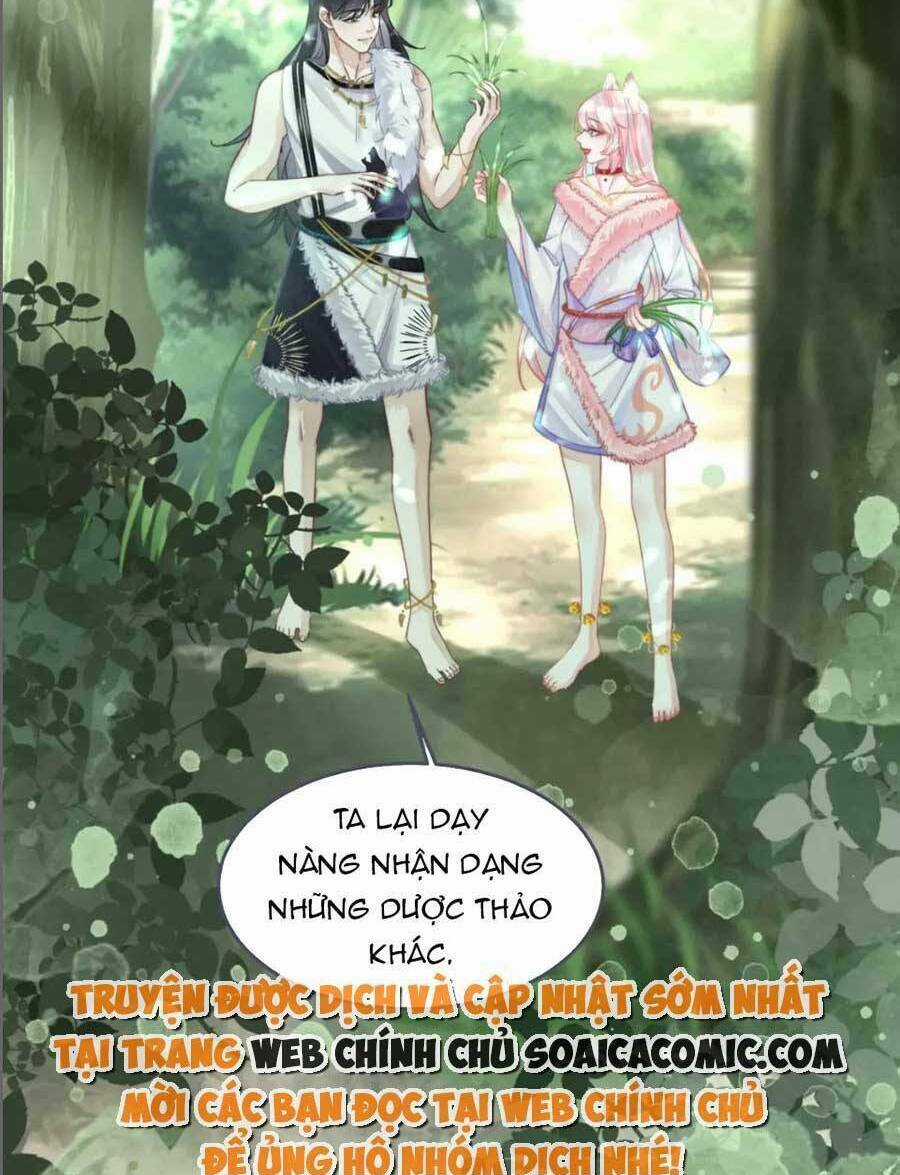 Xuyên Nhanh Nữ Phụ Bình Tĩnh Chút Chapter 158 trang 32