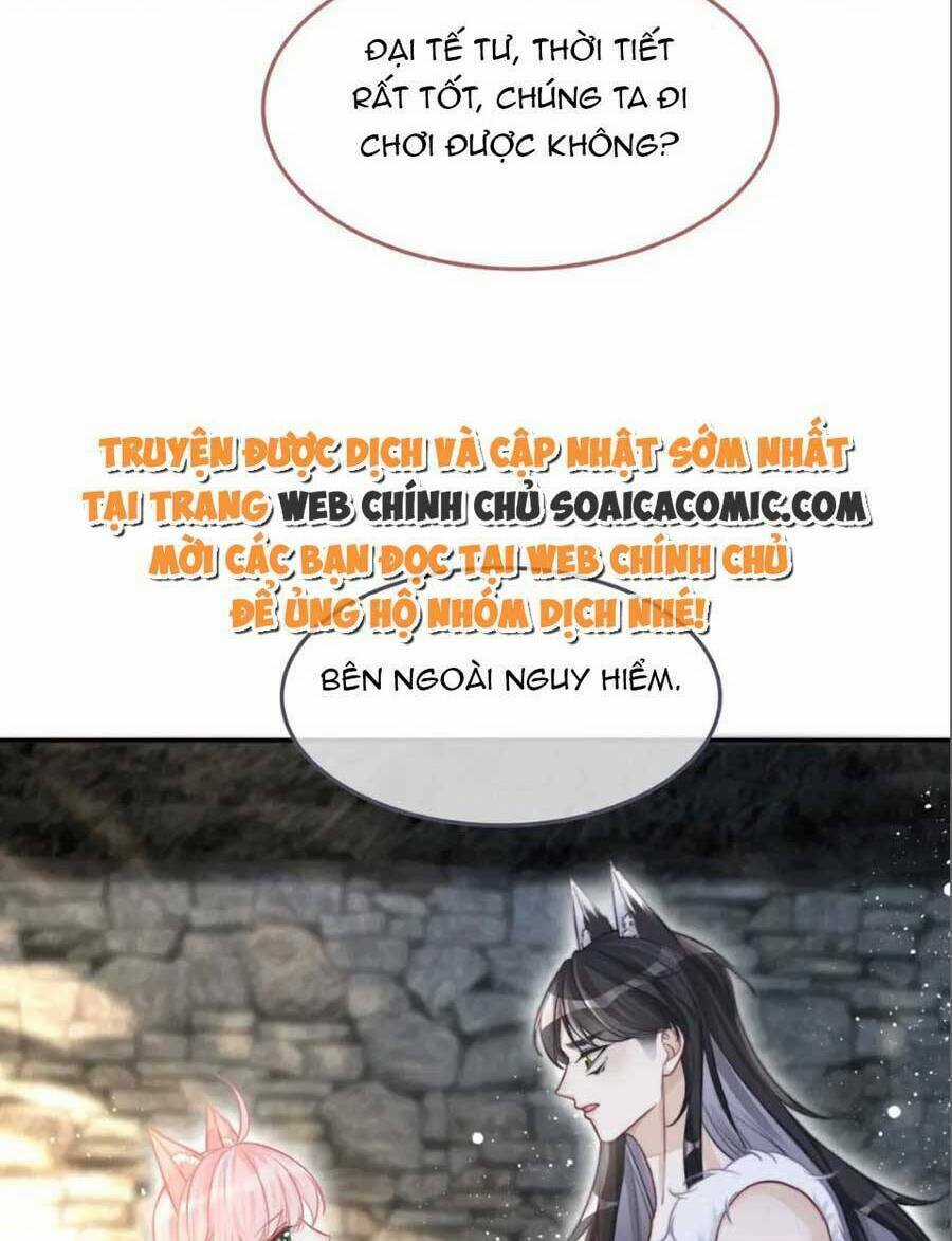 Xuyên Nhanh Nữ Phụ Bình Tĩnh Chút Chapter 158 trang 44