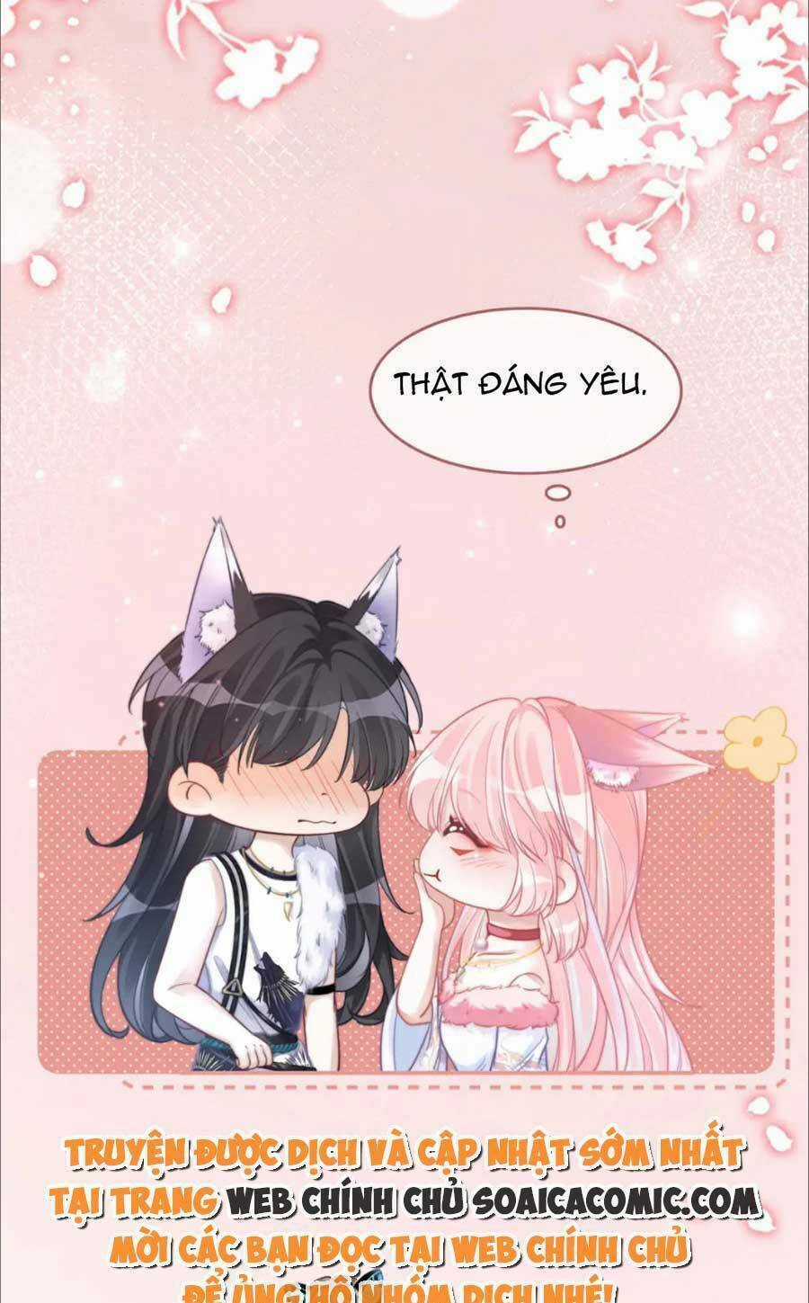 Xuyên Nhanh Nữ Phụ Bình Tĩnh Chút Chapter 158 trang 6