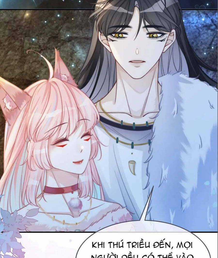 Xuyên Nhanh Nữ Phụ Bình Tĩnh Chút Chapter 159 trang 40