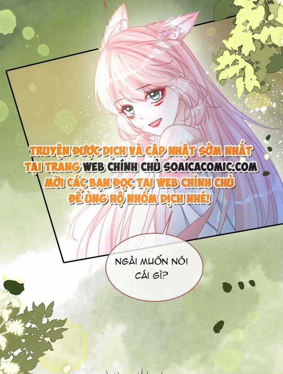 Xuyên Nhanh Nữ Phụ Bình Tĩnh Chút Chapter 160 trang 42