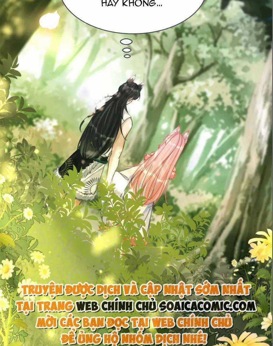 Xuyên Nhanh Nữ Phụ Bình Tĩnh Chút Chapter 161 trang 14