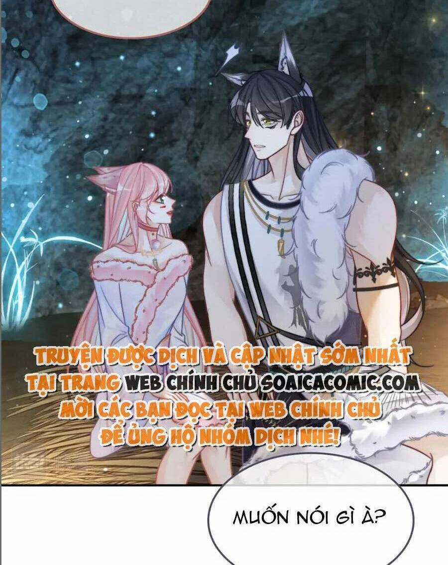 Xuyên Nhanh Nữ Phụ Bình Tĩnh Chút Chapter 161 trang 37