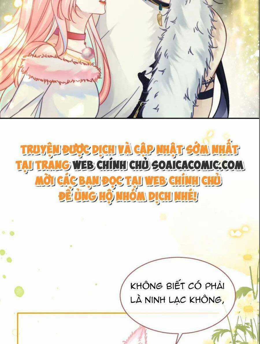 Xuyên Nhanh Nữ Phụ Bình Tĩnh Chút Chapter 161 trang 4