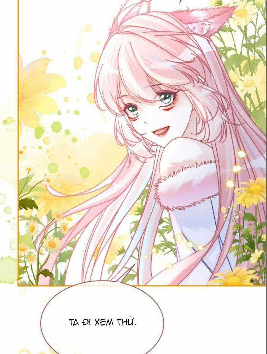 Xuyên Nhanh Nữ Phụ Bình Tĩnh Chút Chapter 161 trang 5