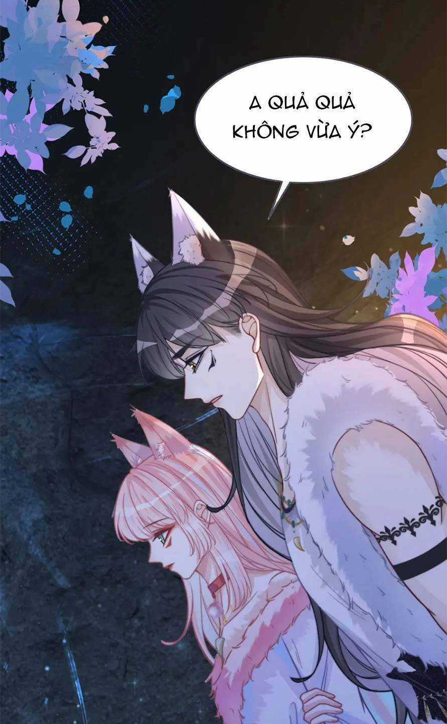 Xuyên Nhanh Nữ Phụ Bình Tĩnh Chút Chapter 161 trang 62