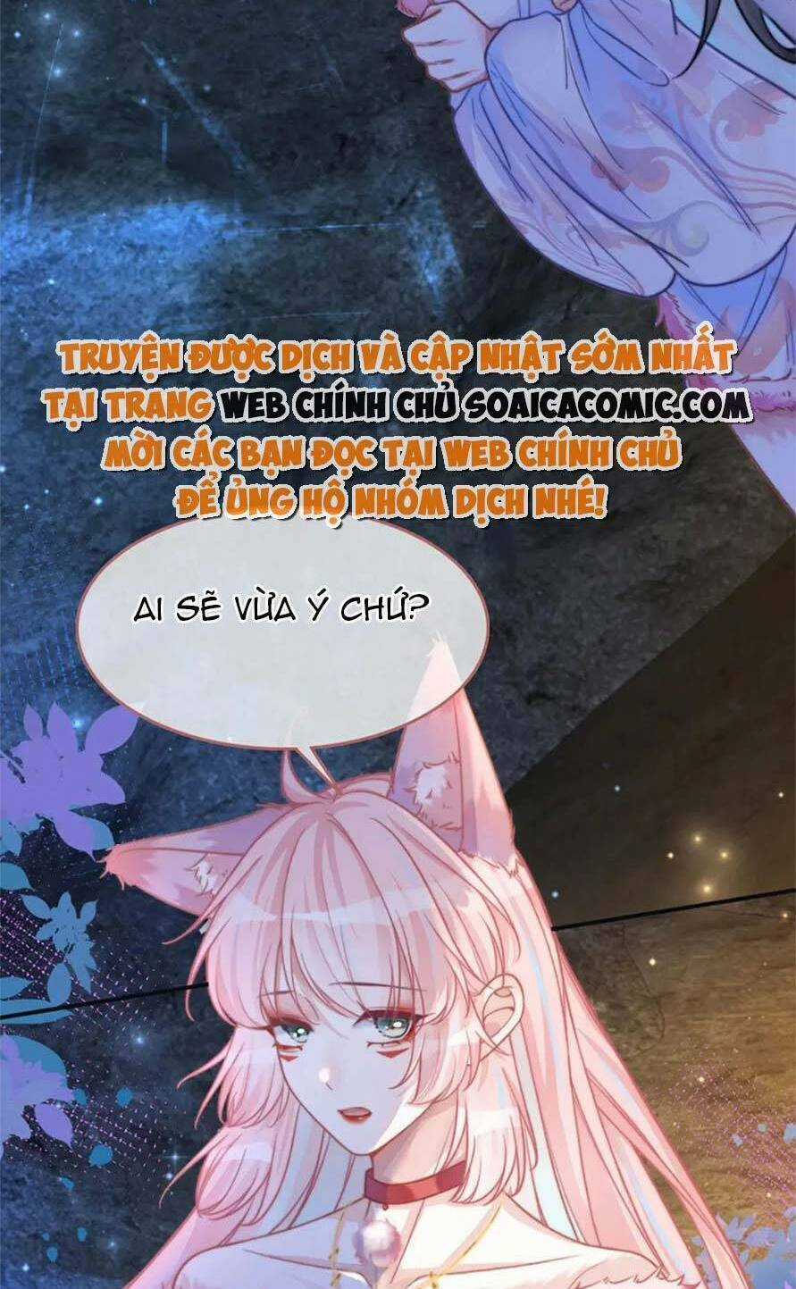 Xuyên Nhanh Nữ Phụ Bình Tĩnh Chút Chapter 161 trang 63