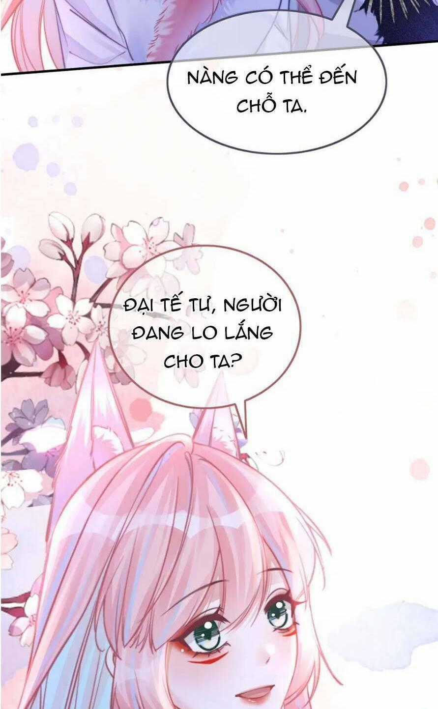 Xuyên Nhanh Nữ Phụ Bình Tĩnh Chút Chapter 161 trang 66