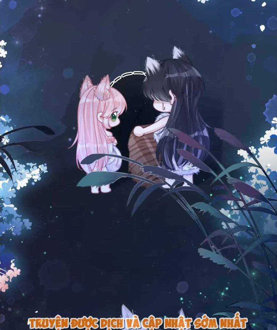 Xuyên Nhanh Nữ Phụ Bình Tĩnh Chút Chapter 162 trang 14