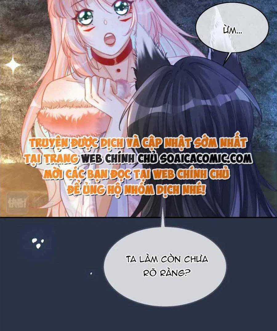 Xuyên Nhanh Nữ Phụ Bình Tĩnh Chút Chapter 162 trang 17