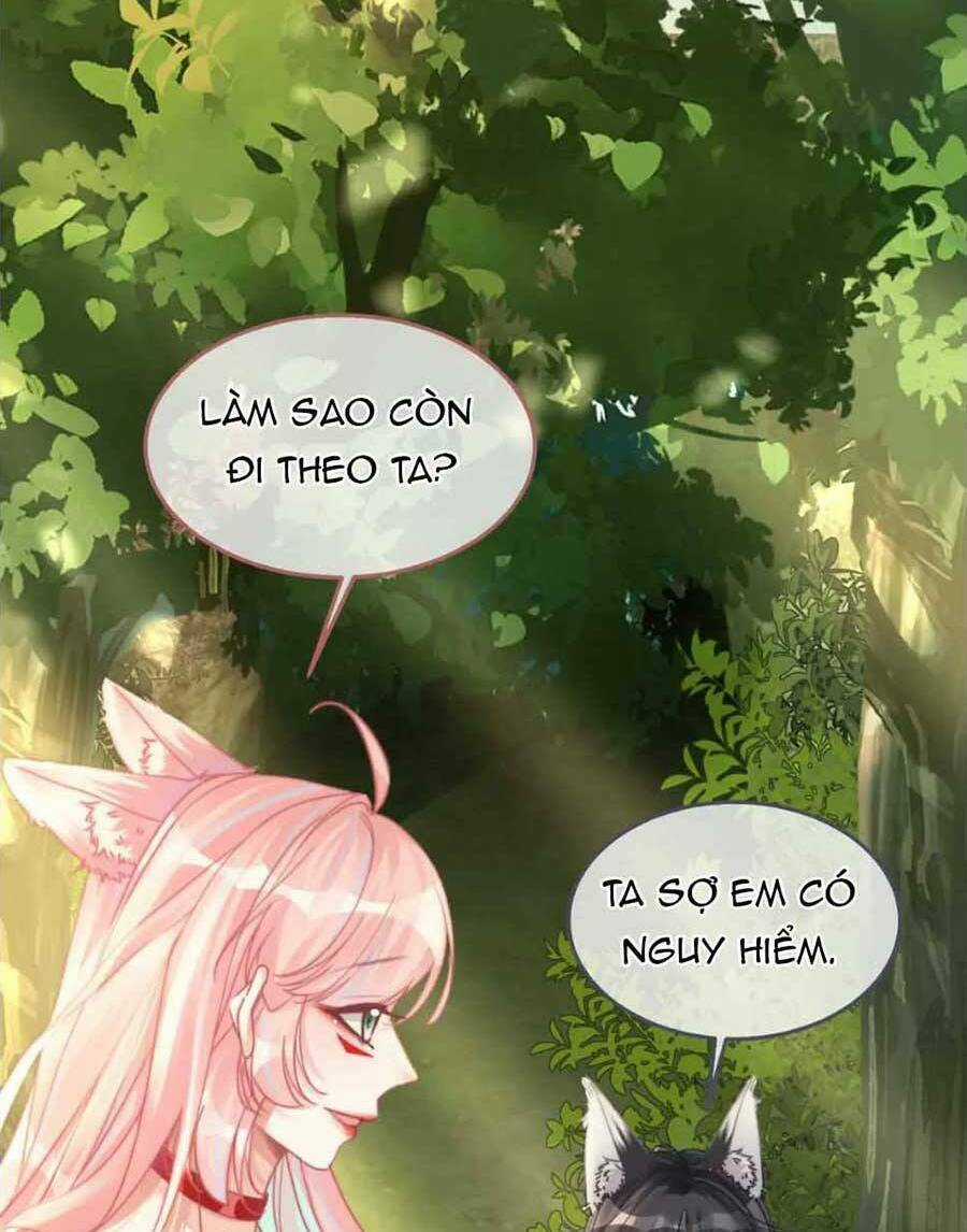 Xuyên Nhanh Nữ Phụ Bình Tĩnh Chút Chapter 162 trang 25