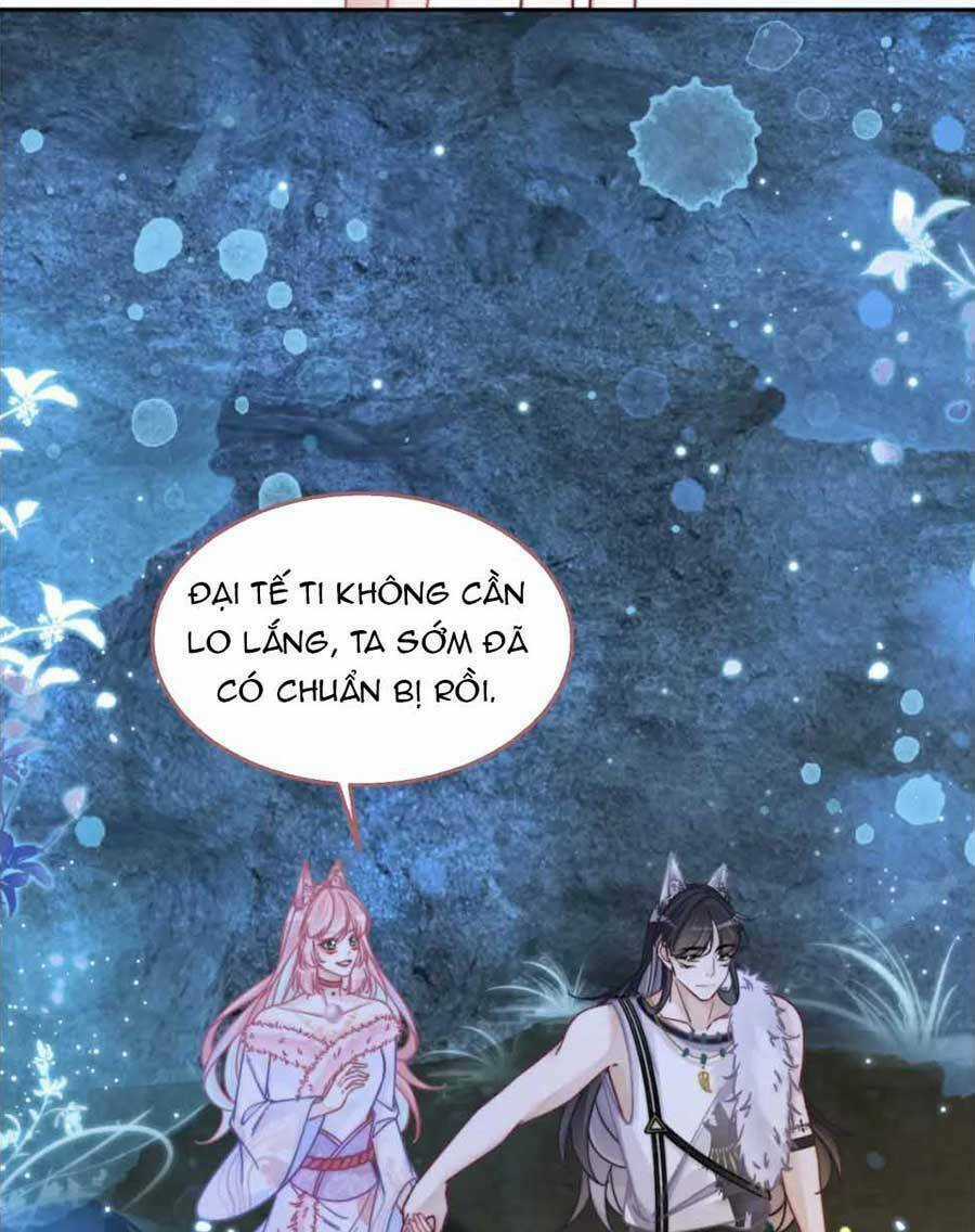 Xuyên Nhanh Nữ Phụ Bình Tĩnh Chút Chapter 162 trang 3