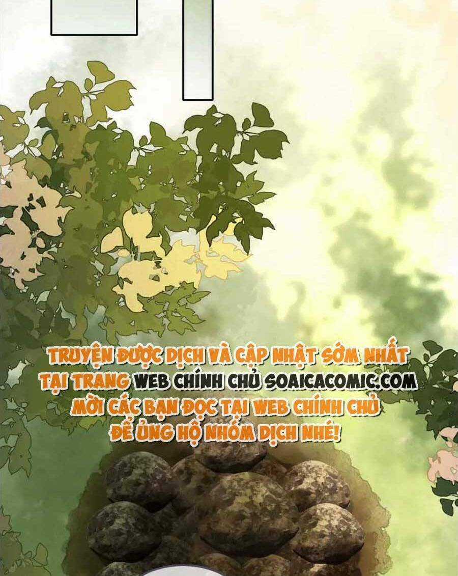 Xuyên Nhanh Nữ Phụ Bình Tĩnh Chút Chapter 162 trang 32