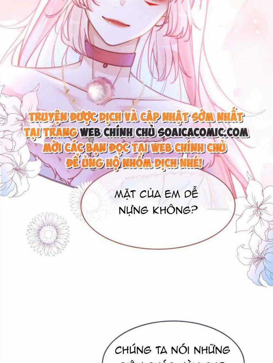 Xuyên Nhanh Nữ Phụ Bình Tĩnh Chút Chapter 162 trang 50