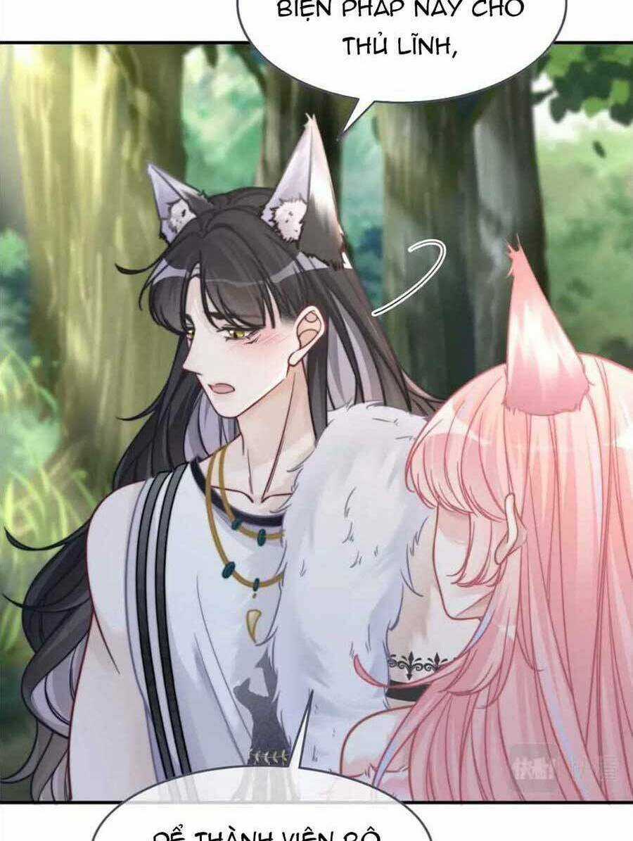 Xuyên Nhanh Nữ Phụ Bình Tĩnh Chút Chapter 162 trang 51