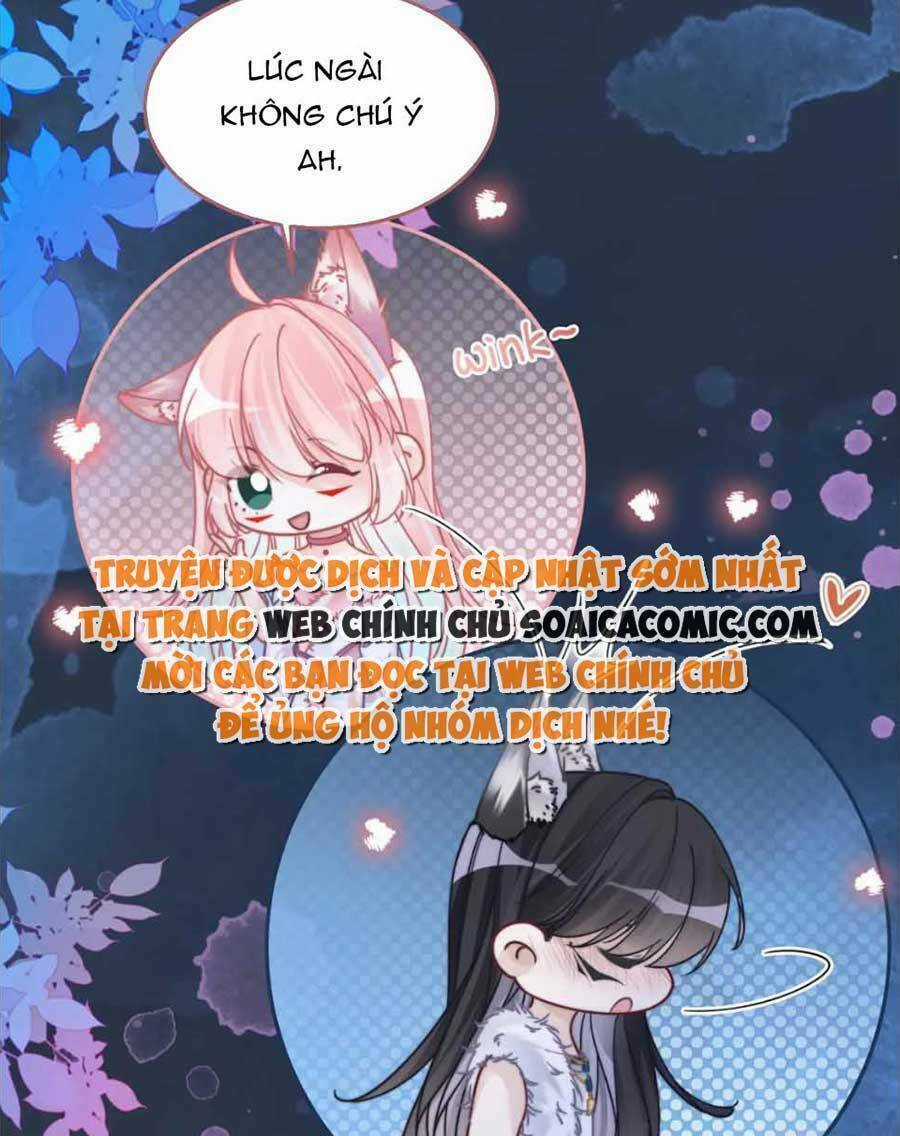 Xuyên Nhanh Nữ Phụ Bình Tĩnh Chút Chapter 162 trang 9