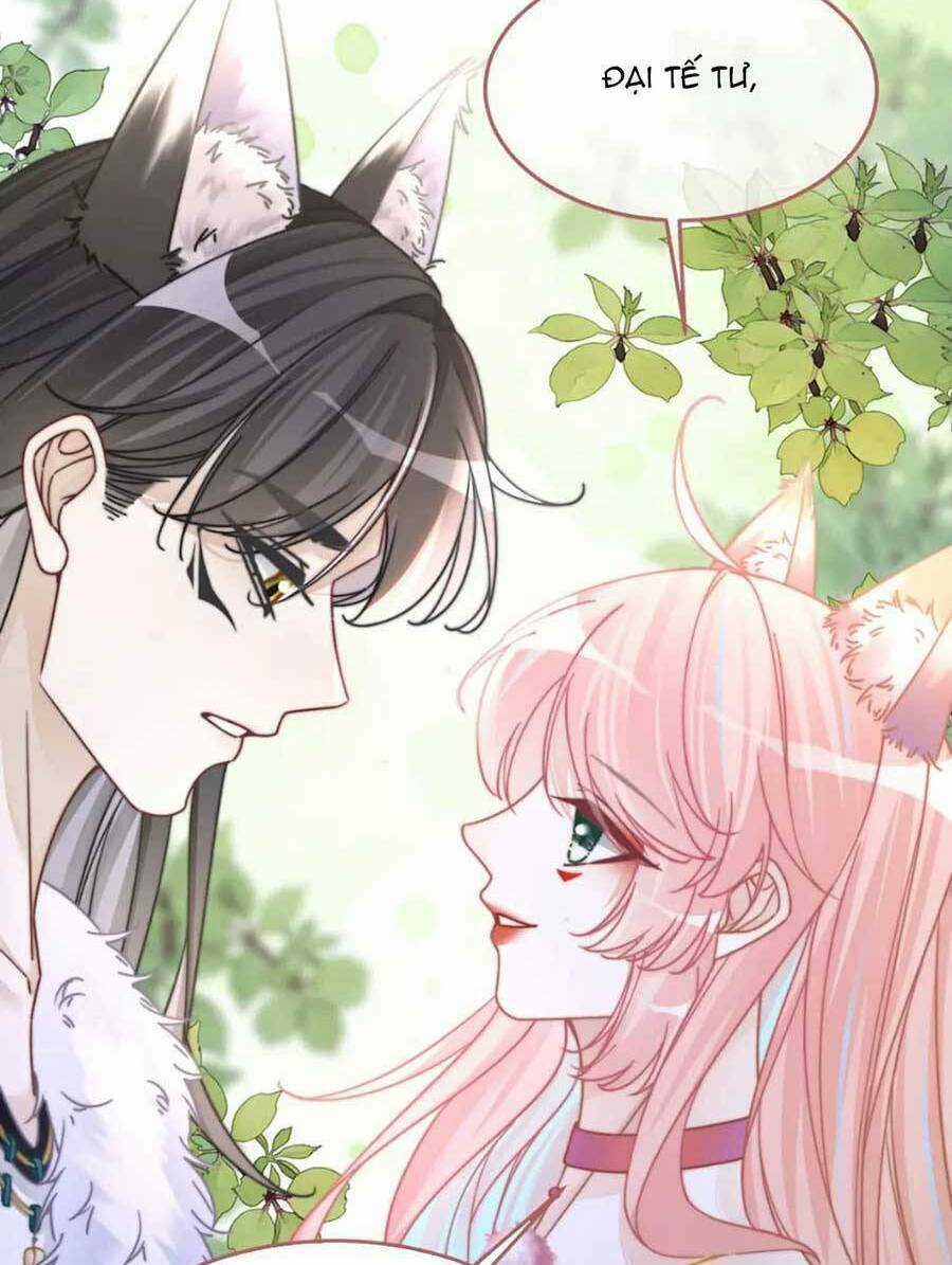 Xuyên Nhanh Nữ Phụ Bình Tĩnh Chút Chapter 163 trang 51