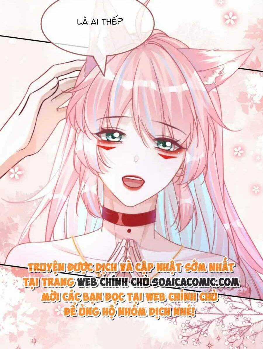 Xuyên Nhanh Nữ Phụ Bình Tĩnh Chút Chapter 163 trang 55