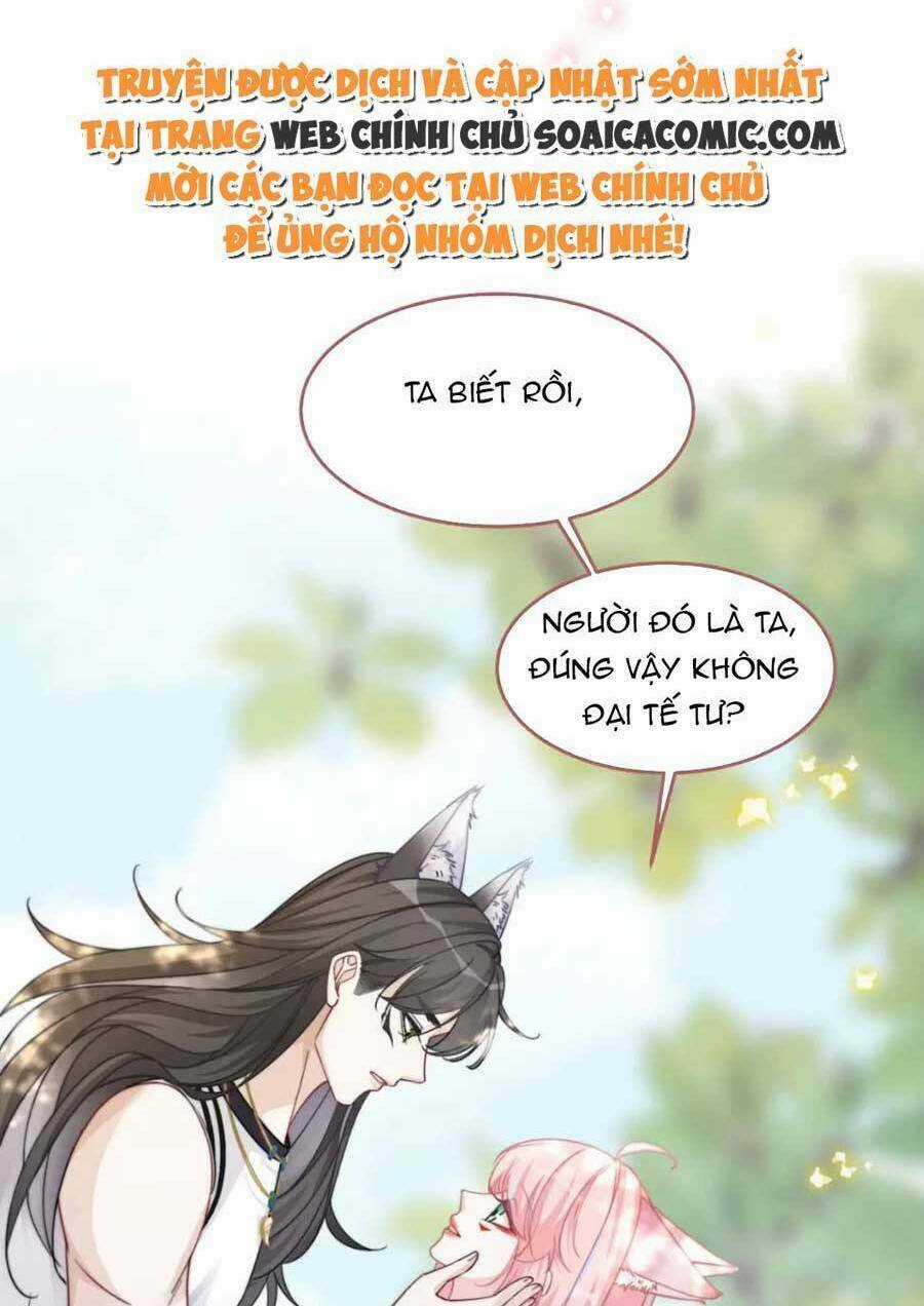 Xuyên Nhanh Nữ Phụ Bình Tĩnh Chút Chapter 163 trang 60