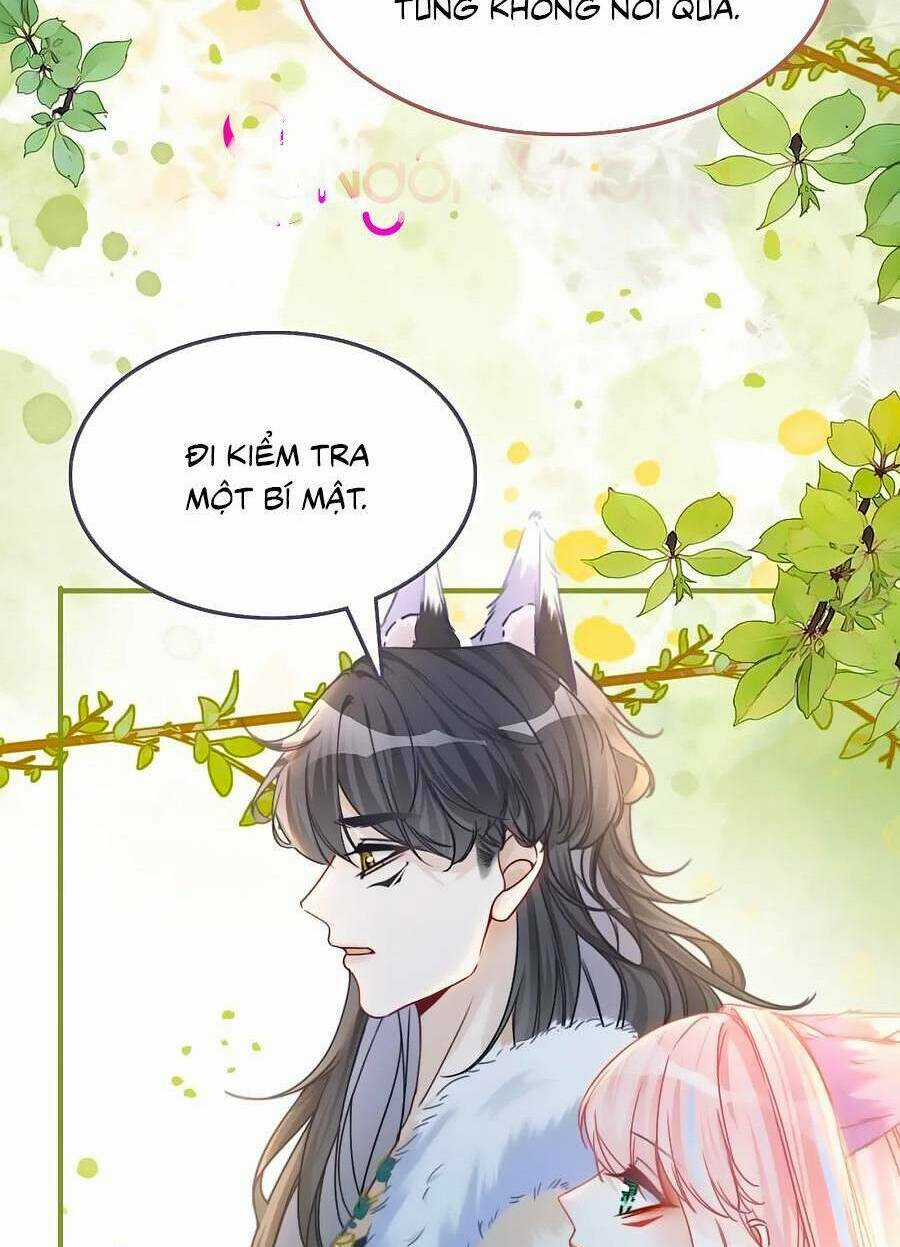 Xuyên Nhanh Nữ Phụ Bình Tĩnh Chút Chapter 164 trang 4