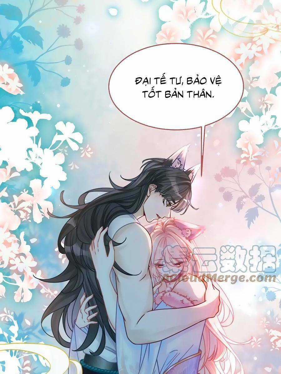 Xuyên Nhanh Nữ Phụ Bình Tĩnh Chút Chapter 164 trang 43