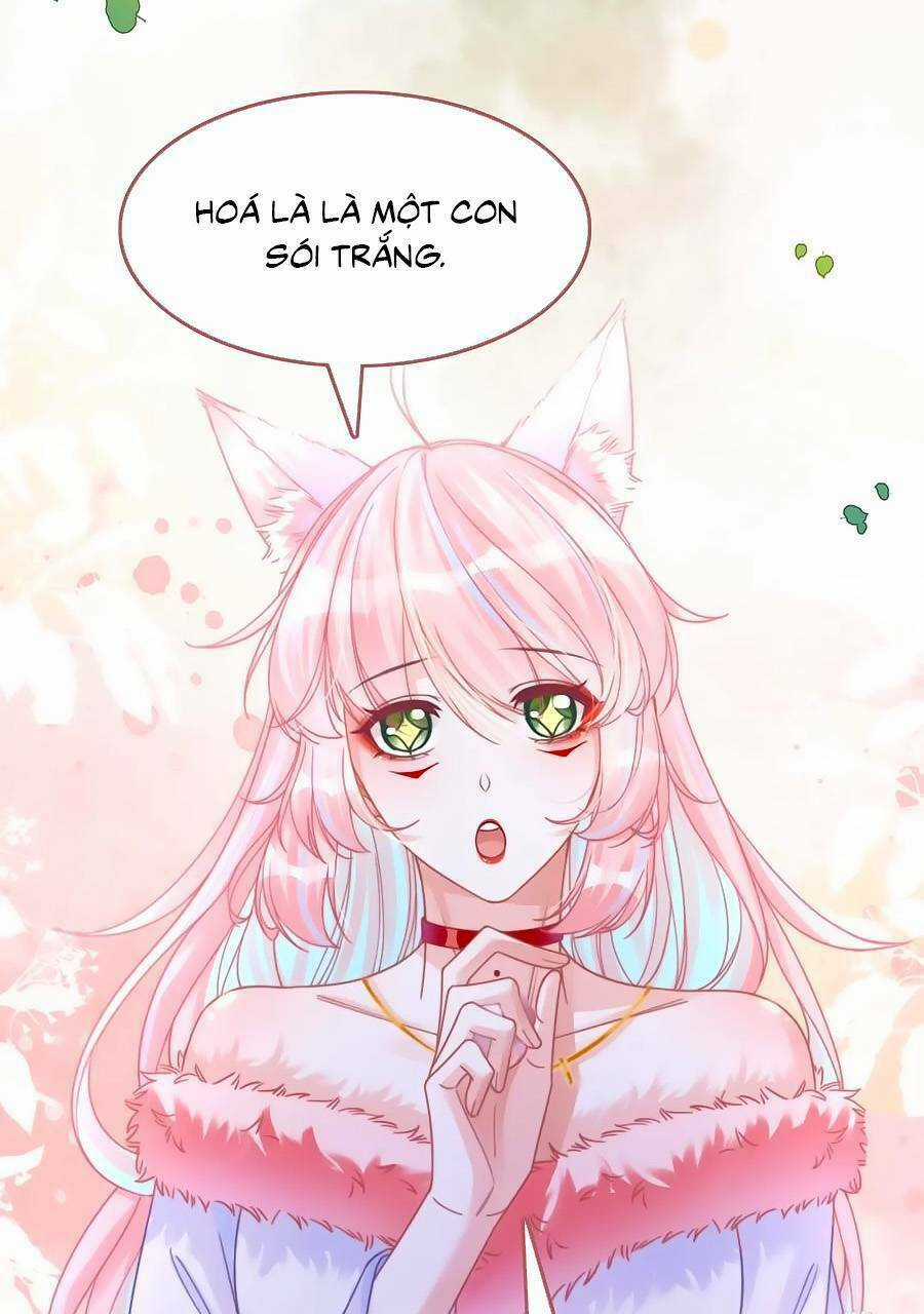 Xuyên Nhanh Nữ Phụ Bình Tĩnh Chút Chapter 164 trang 51