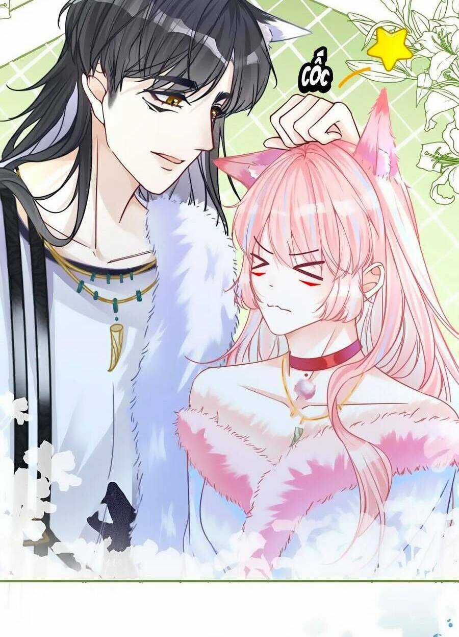 Xuyên Nhanh Nữ Phụ Bình Tĩnh Chút Chapter 164 trang 6