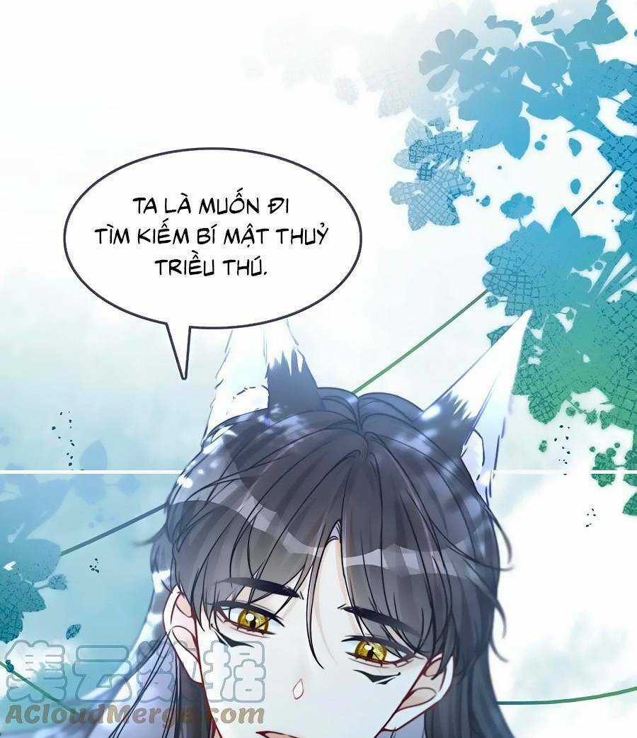 Xuyên Nhanh Nữ Phụ Bình Tĩnh Chút Chapter 164 trang 7