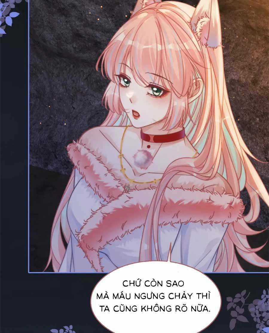 Xuyên Nhanh Nữ Phụ Bình Tĩnh Chút Chapter 166 trang 14