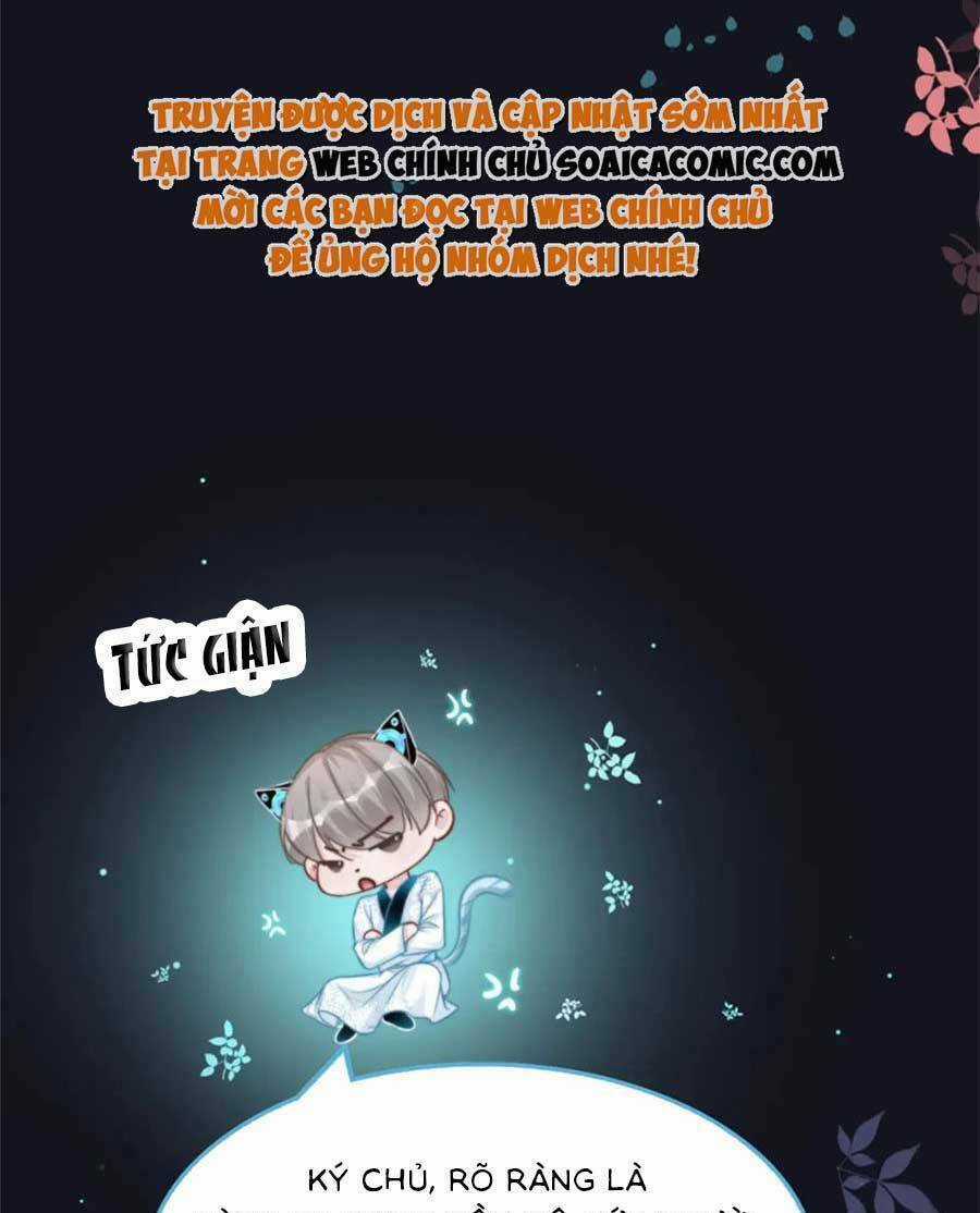 Xuyên Nhanh Nữ Phụ Bình Tĩnh Chút Chapter 166 trang 36