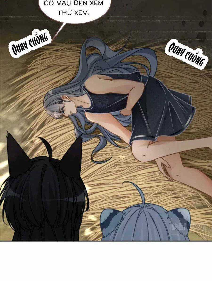 Xuyên Nhanh Nữ Phụ Bình Tĩnh Chút Chapter 166 trang 50