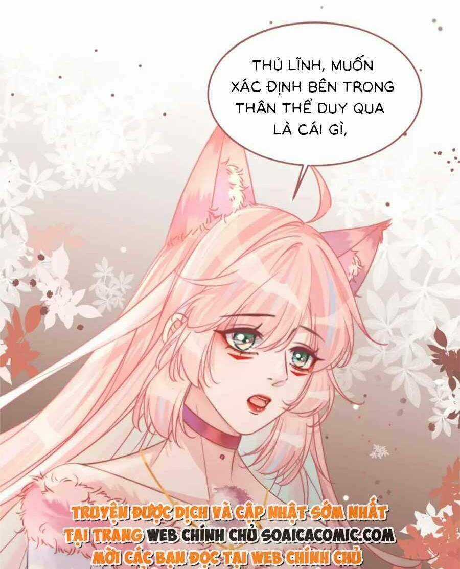 Xuyên Nhanh Nữ Phụ Bình Tĩnh Chút Chapter 166 trang 61