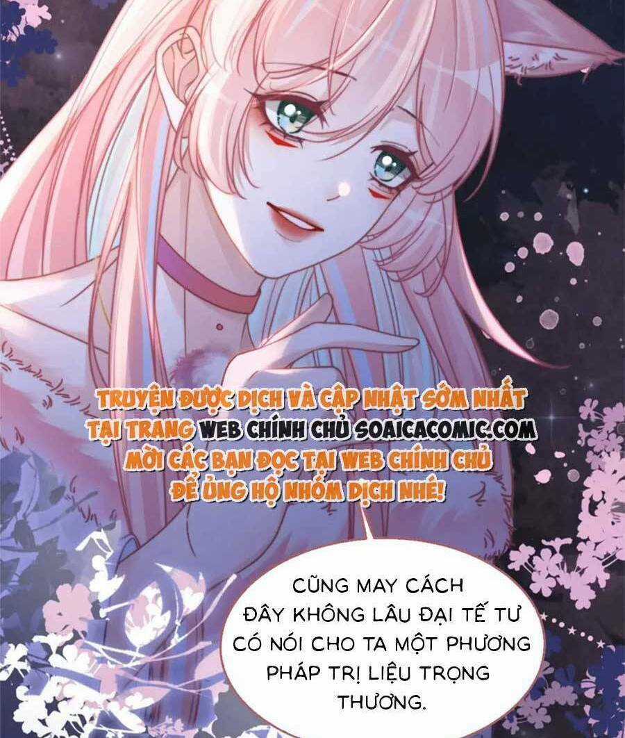 Xuyên Nhanh Nữ Phụ Bình Tĩnh Chút Chapter 166 trang 8