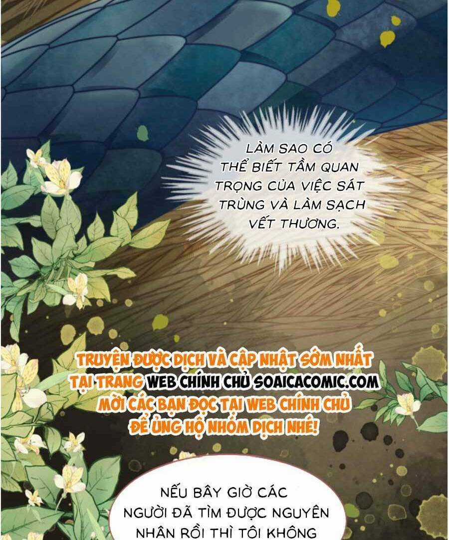 Xuyên Nhanh Nữ Phụ Bình Tĩnh Chút Chapter 167.1 trang 13