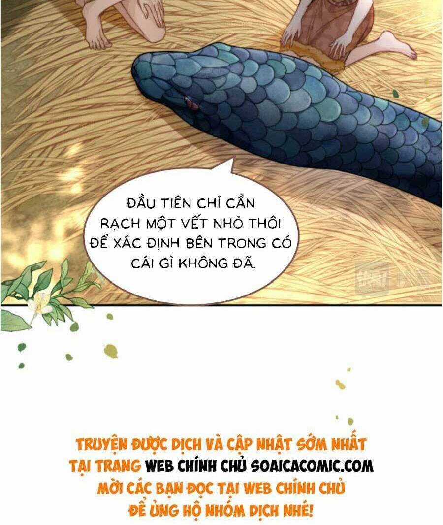 Xuyên Nhanh Nữ Phụ Bình Tĩnh Chút Chapter 167.1 trang 5